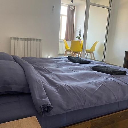 Casa Cojocaru Bed & Breakfast Turnu Magurele ภายนอก รูปภาพ