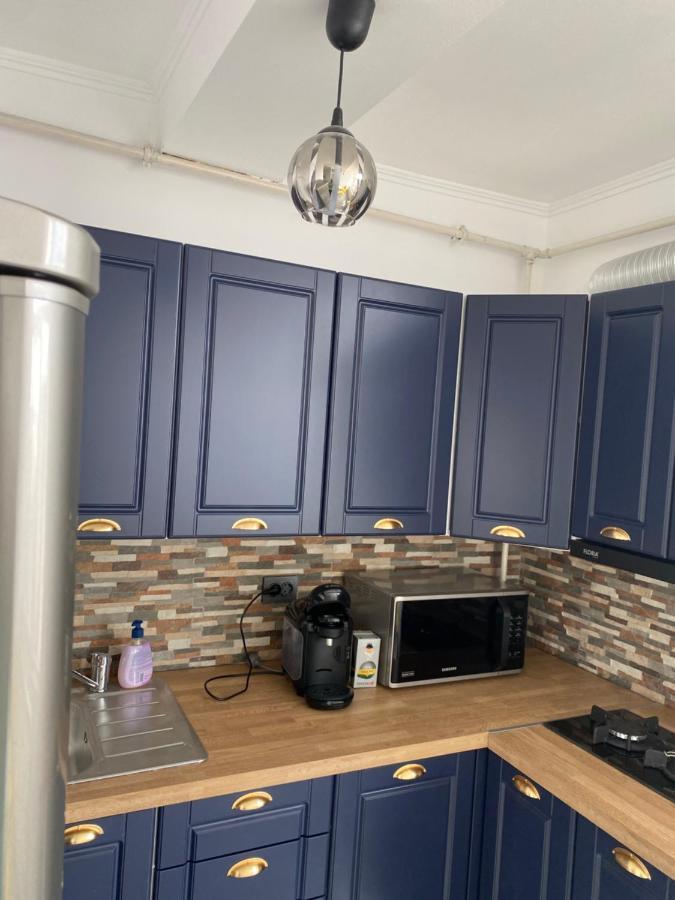 Casa Cojocaru Bed & Breakfast Turnu Magurele ภายนอก รูปภาพ