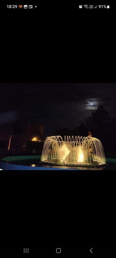 Casa Cojocaru Bed & Breakfast Turnu Magurele ภายนอก รูปภาพ